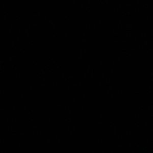 Meet your Posher, Darnell